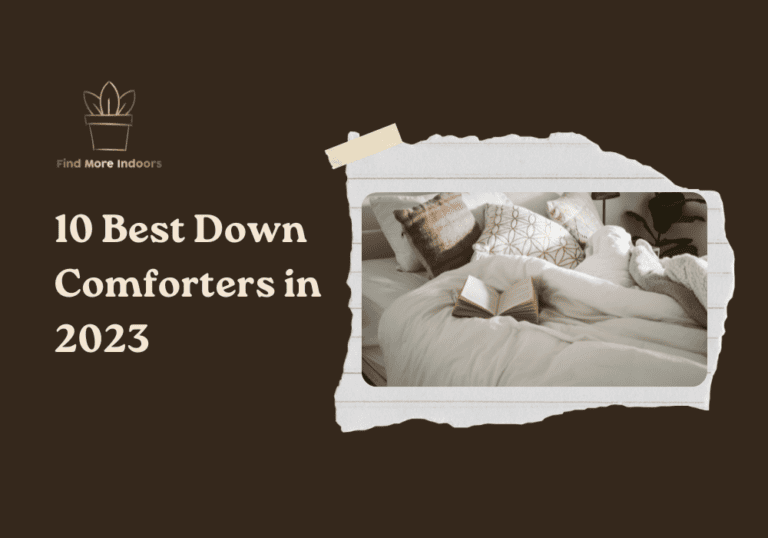 10 Best Down Comforter Options in 2023
