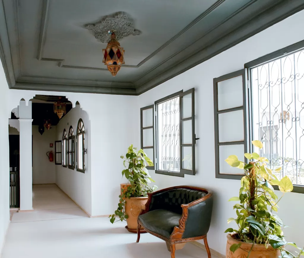dark painted ceiling room with plants and seat